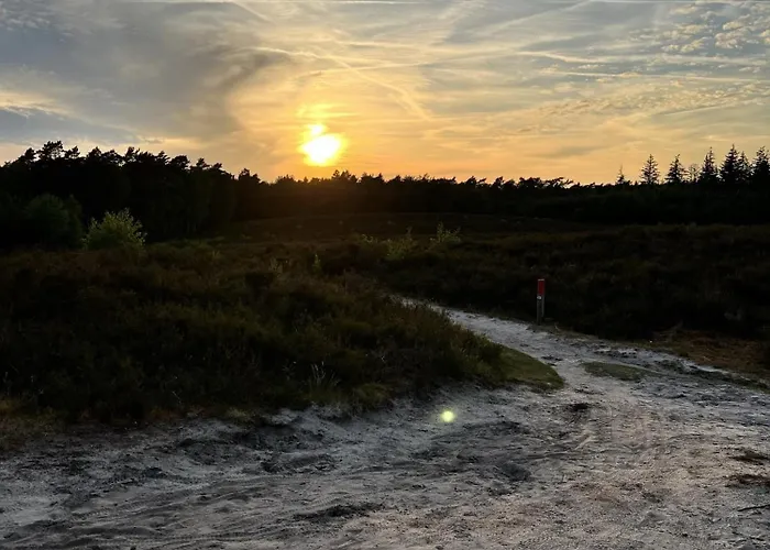 Onder De Paddn Wapenveld