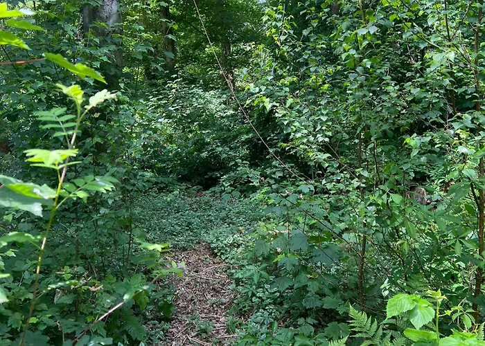 Onder De Paddn Appartement *