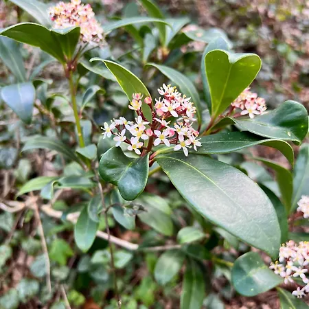 Onder De Paddn Apartment