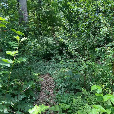 Onder De Paddn Apartment *